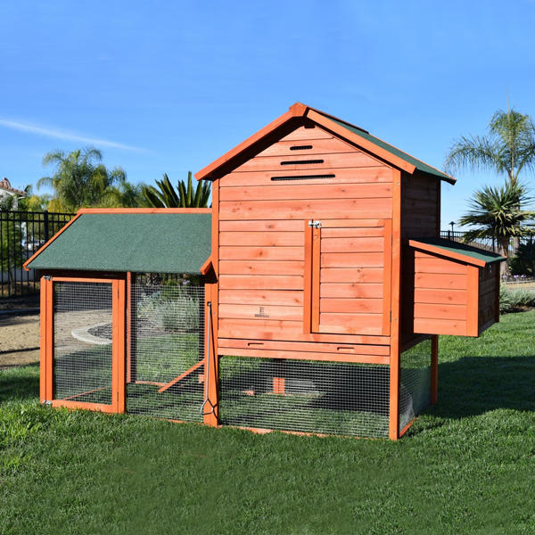 Chicken Coops