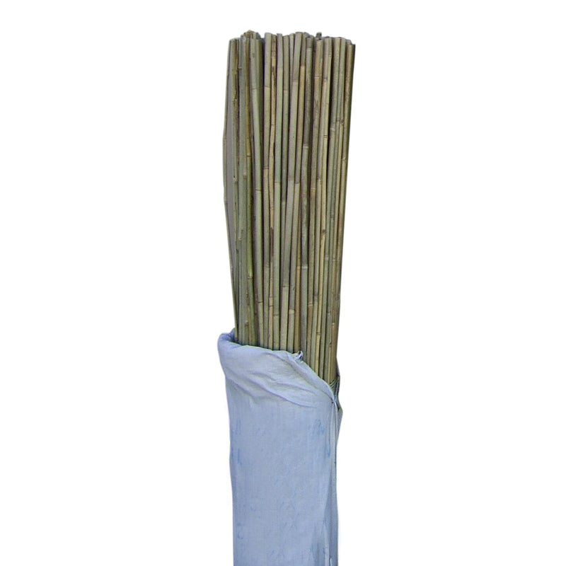 Orchard Valley Supply Bamboo Stakes 2' x 5/16in - Bundle of 1000
