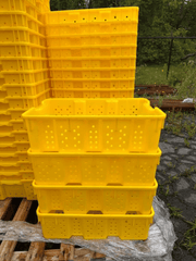 Orchard Valley Supply Yellow Harvest Lugs