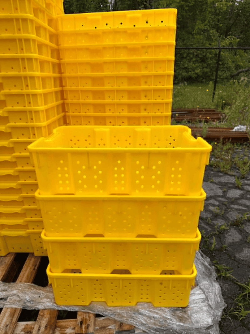 Orchard Valley Supply Yellow Harvest Lugs
