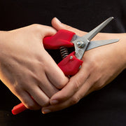 Orchard Valley Supply Felco 310 Picking and Trimming Snip