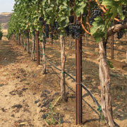 Orchard Valley Supply Metal Posts - Rolled Edge and Notched