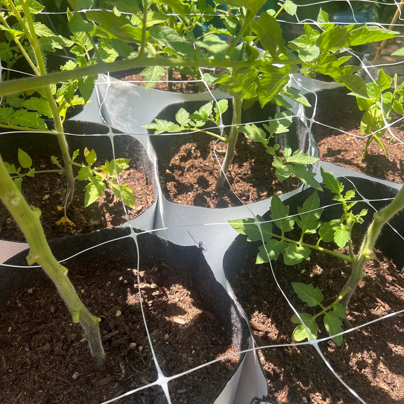 Orchard Valley Supply RootTrapper Soft Sided Fabric Container