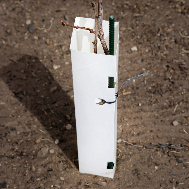 Orchard Valley Supply Vine Protectors-Protective Sleeve 12" Long / Drop-on / Individual - 1 Total Tube
