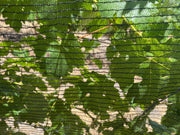 Orchard Valley Supply Bee Netting - Side/Zone Netting Black / 42" x 700'