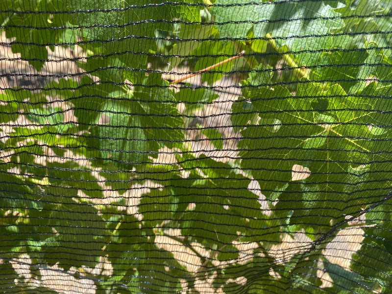 Orchard Valley Supply Bee Netting - Side/Zone Netting Black / 42" x 700'