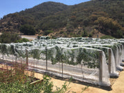 Orchard Valley Supply Bee Netting