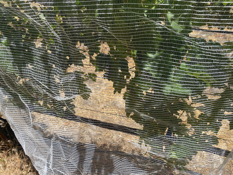 Fujian Shihua Bee Netting Bee Netting - Side/Zone Netting