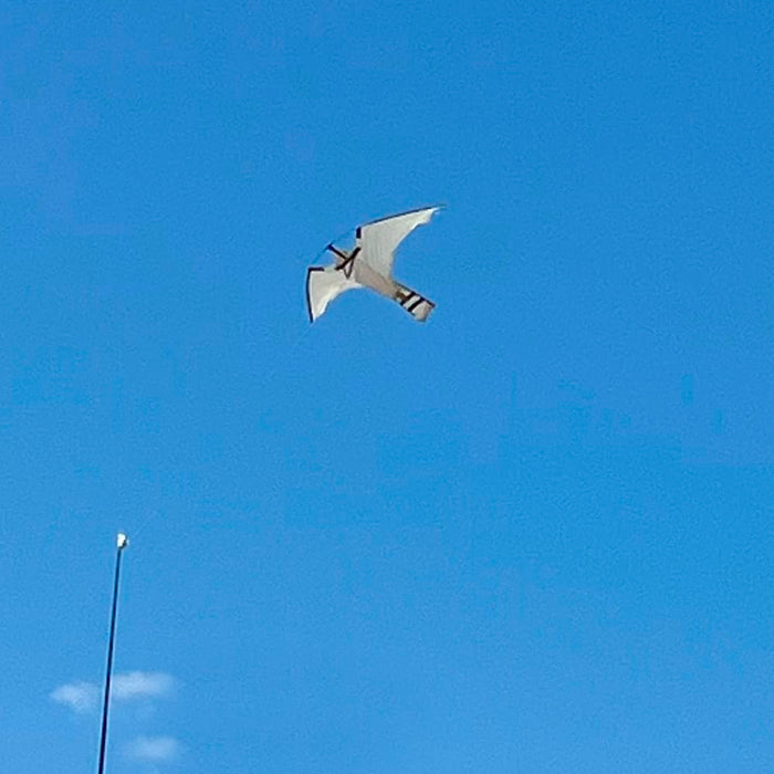 Hot Foot America Bird Control Falcon Kite with Fiberglass Pole