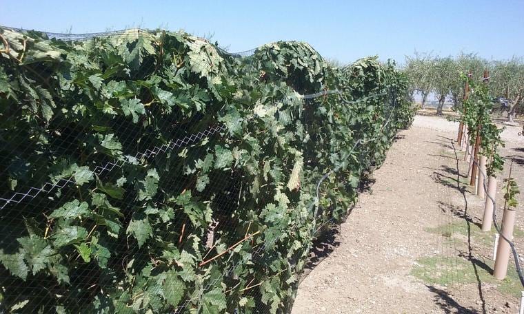 Orchard Valley Supply Bird Netting - Knitted/Woven 17' x 500' - Black w/ White Stripe