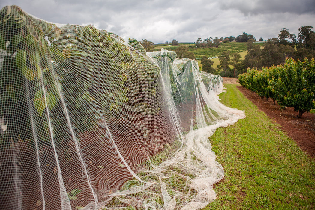 Fujian Shihua Bird Netting Bird Netting - 40' x 500' White Drape