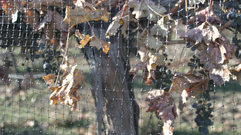 Orchard Valley Supply Bird Netting - Welded/Extruded