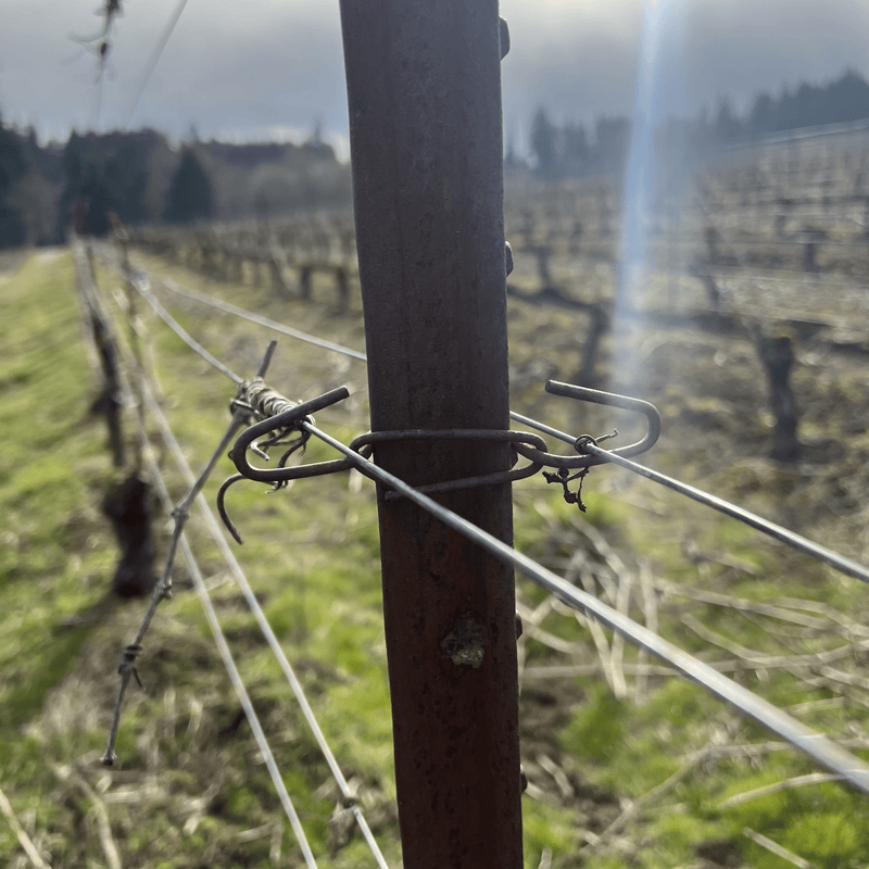 Orchard Valley Supply JR Clip for T Posts