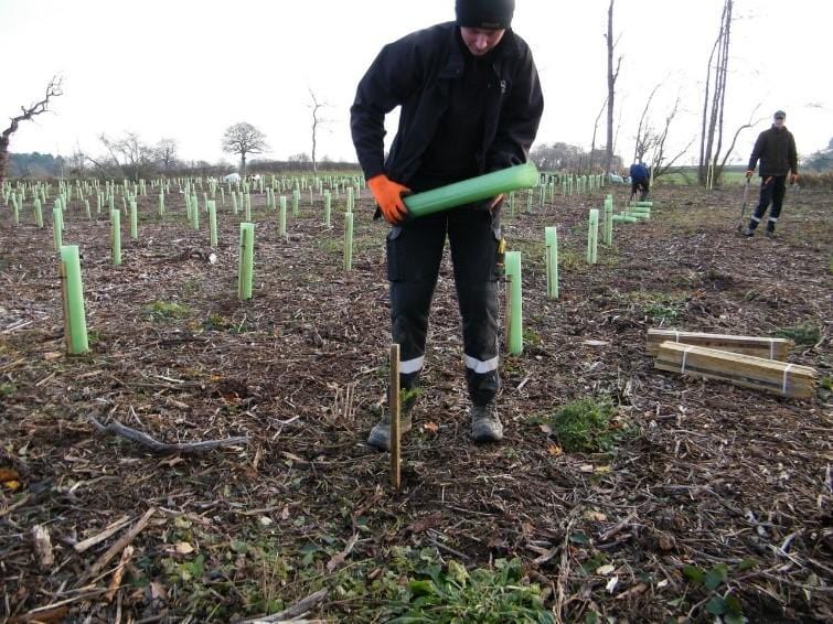 Orchard Valley Supply Vigilis Tree Tubes