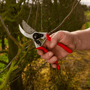Orchard Valley Supply Felco 2 Pruner