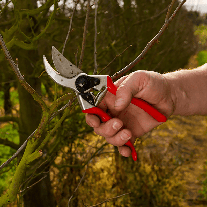 Orchard Valley Supply Felco 2 Pruner