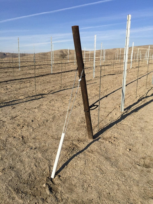 Orchard Valley Supply Metal Posts 9' (No Spade) Oil Pipe End Posts