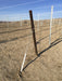 Orchard Valley Supply Metal Posts 9' (No Spade) Oil Pipe End Posts