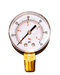 Orchard Valley Supply Liquid Filled Pressure Gauge 60 PSI
