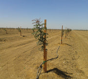 Orchard Valley Supply Grow Tubes