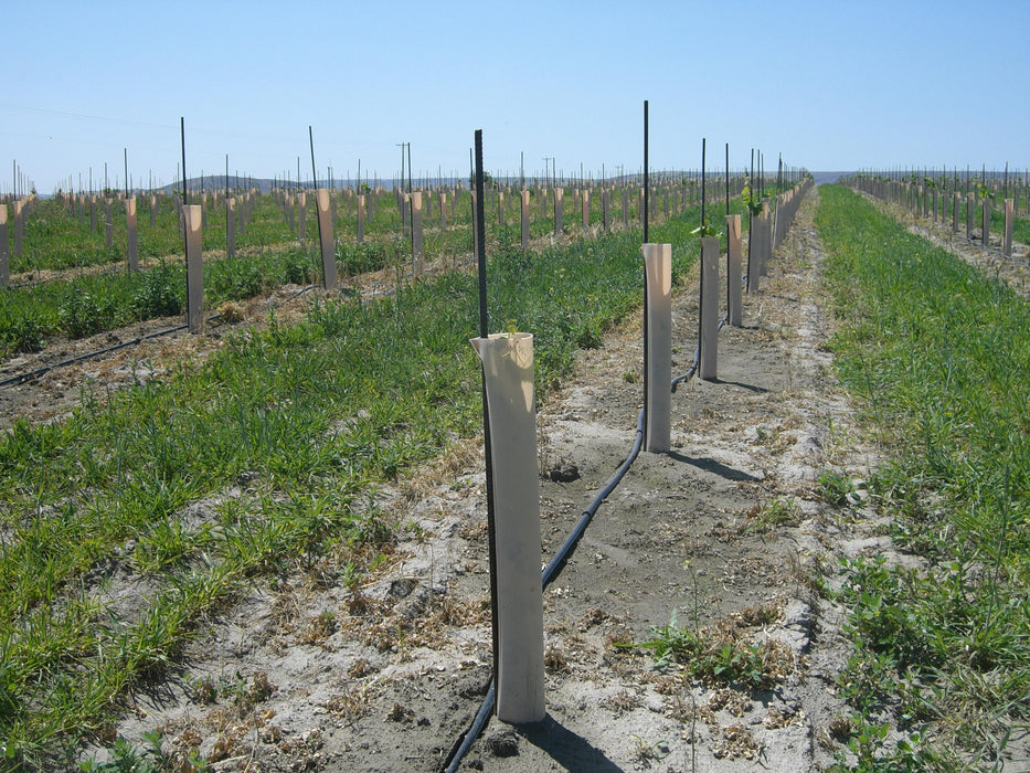 Orchard Valley Supply Grow Tubes Grow Tubes